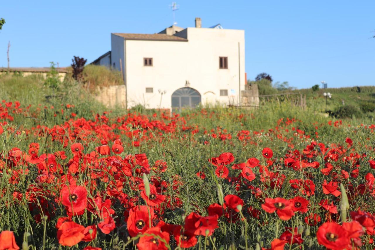 Masseria Agriturismo Moschella Posta Piana Dış mekan fotoğraf