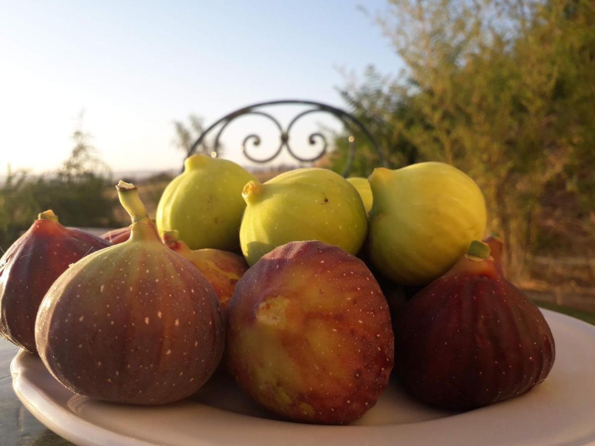 Masseria Agriturismo Moschella Posta Piana Dış mekan fotoğraf