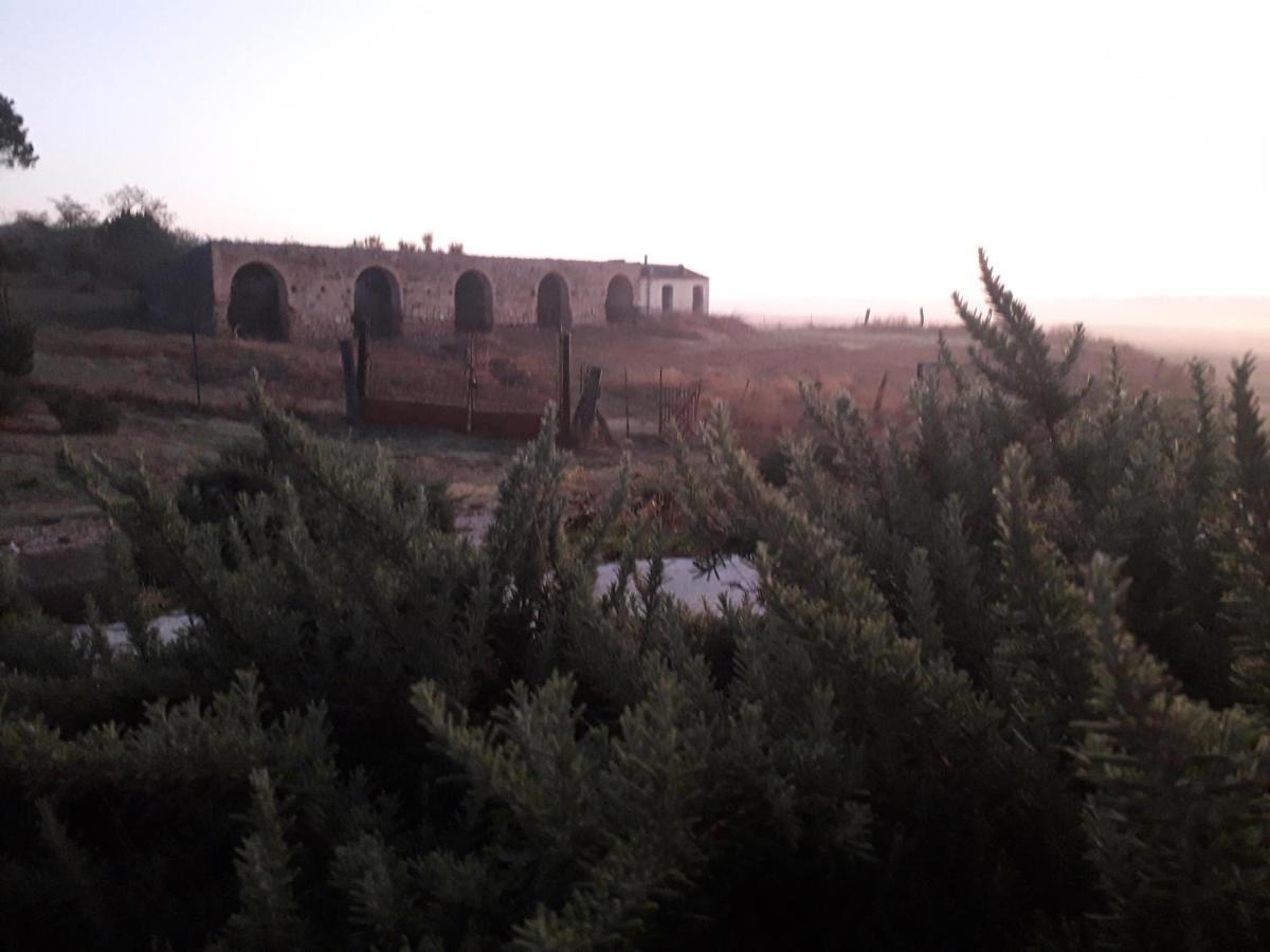 Masseria Agriturismo Moschella Posta Piana Dış mekan fotoğraf